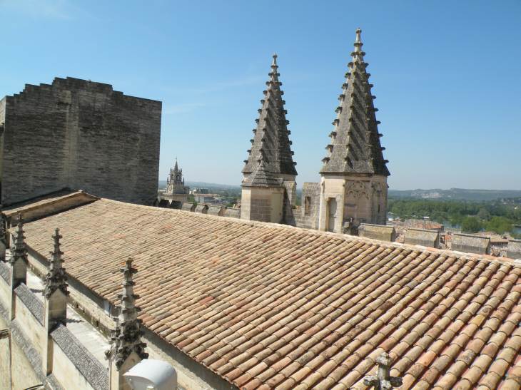  sommet des tourelles de la porte principale